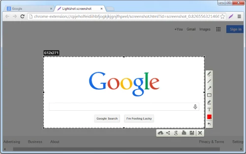 Lightshot editor cropping and annotating the Google home page